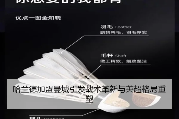 ha-lan-de-jia-meng-man-cheng-yin-fa-zhan-shu-ge-xin-yu-ying-chao-ge-ju-zhong-su-2-591.jpg
